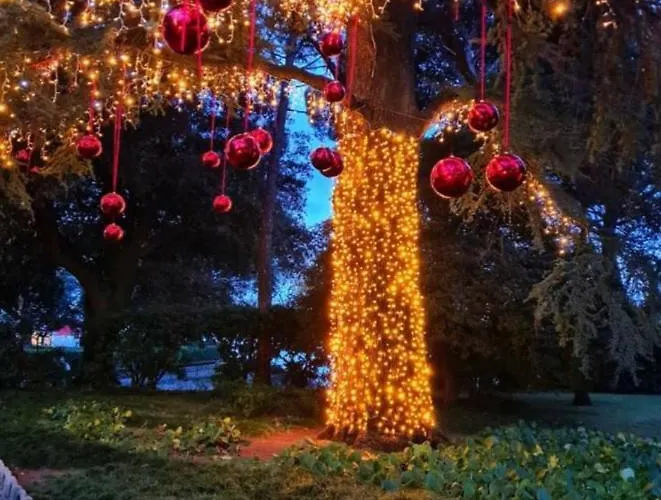 Apartman Diella & Gabriela *