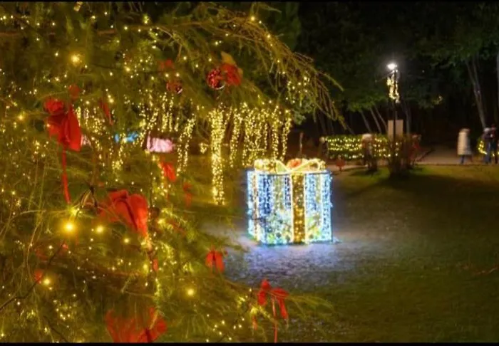 Апартаменты Diella & Gabriela